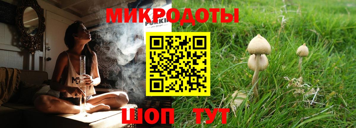 Усть-Джегута  Псилоцибиновые грибы GOLDEN TEACHER  Вход с VPN 